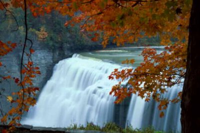 Hoạt động chào mừng ngày nhà giáo Việt Nam